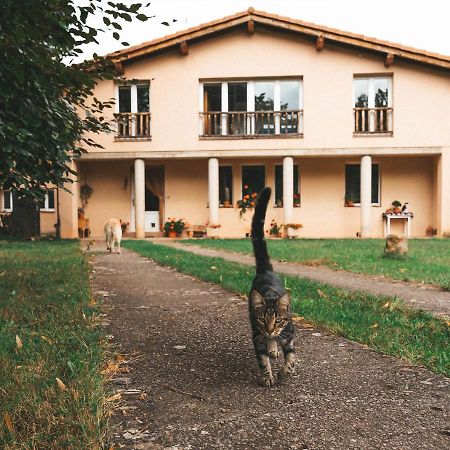 Casa De Campo La Solana Estollo Bagian luar foto