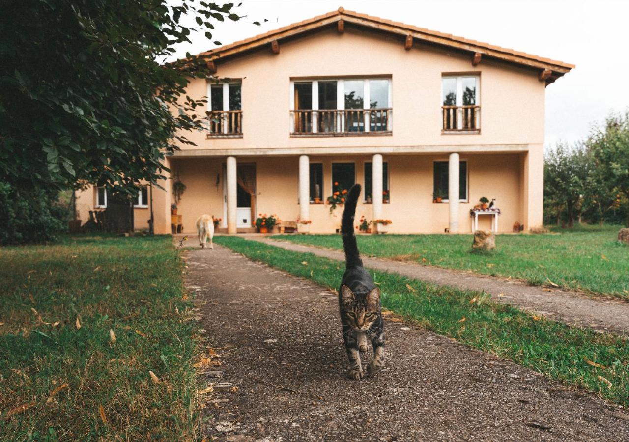 Casa De Campo La Solana Estollo Bagian luar foto